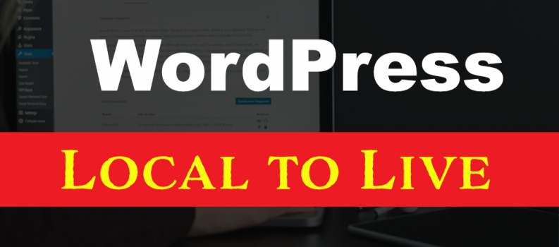 Live your Local Wordpress site